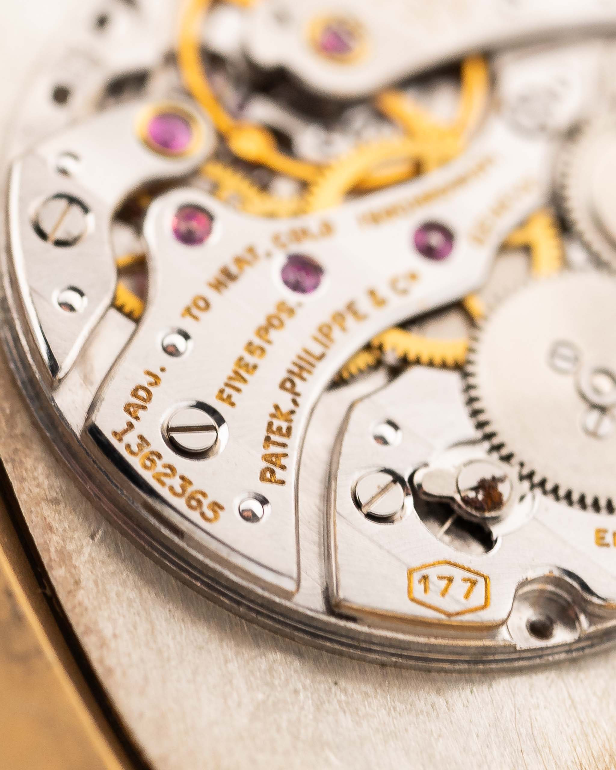 Patek Philippe Silver Moon Royal Shining Look